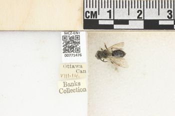 Media type: image;   Entomology 771476 Aspect: Labels